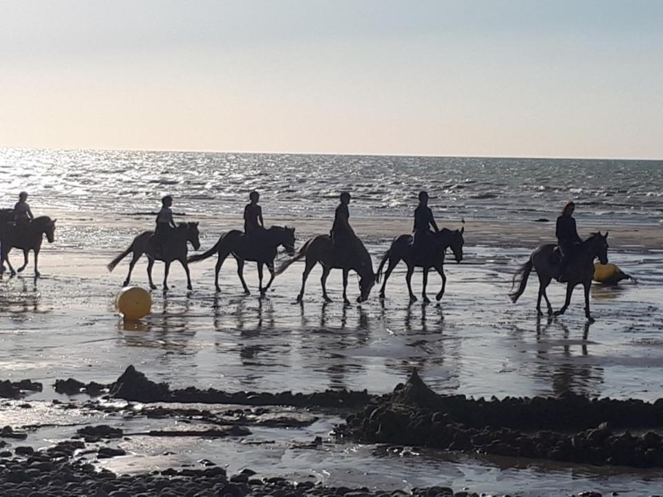 كرييل-سور-مير Kro المظهر الخارجي الصورة